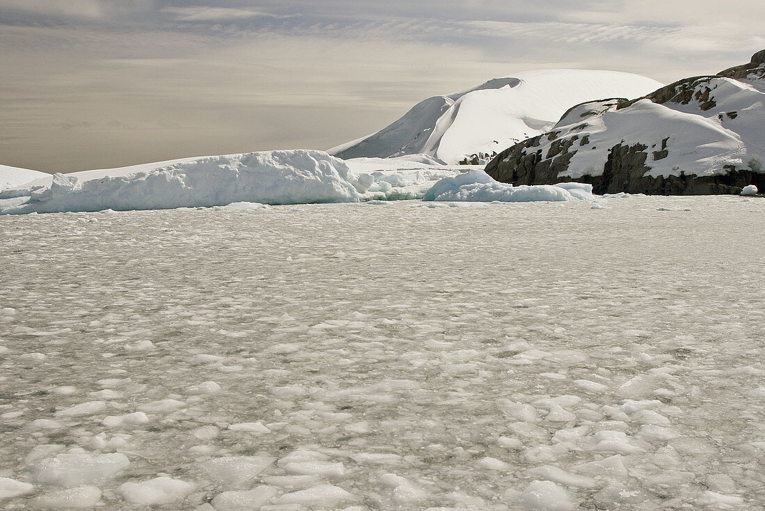 Brash ice surrounds multi-year icebergs on Petermann Island on the western side of the Antarctic Peninsula