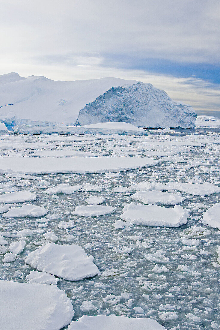 Broken first year floe ice mixed with brash ice below the Antarctic Circle around the Antarctic Peninsula during the summer months  More icebergs are being created as global warming is causing the breakup of major ice shelves and glaciers