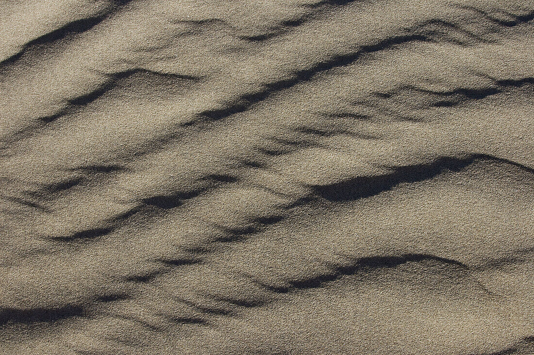 Patterns in the sand dunes of Isla Magdalena on the Pacific side of the Baja Peninsula, Baja California Sur, Mexico
