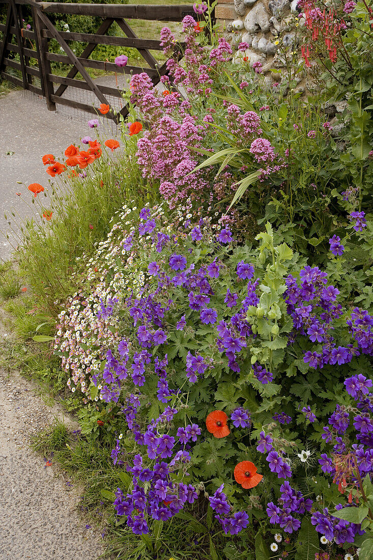 Cottage Garden entrance Norfolk