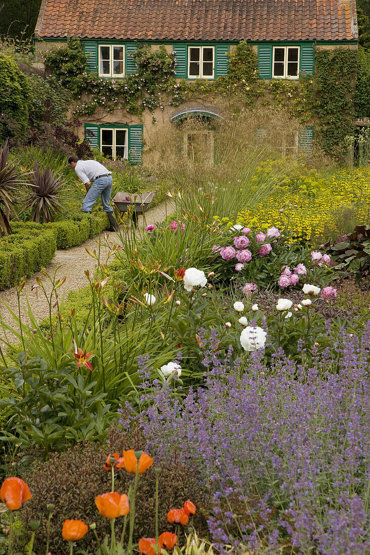 Gardener at work Spider Garden at Hoveton Hall Norfolk