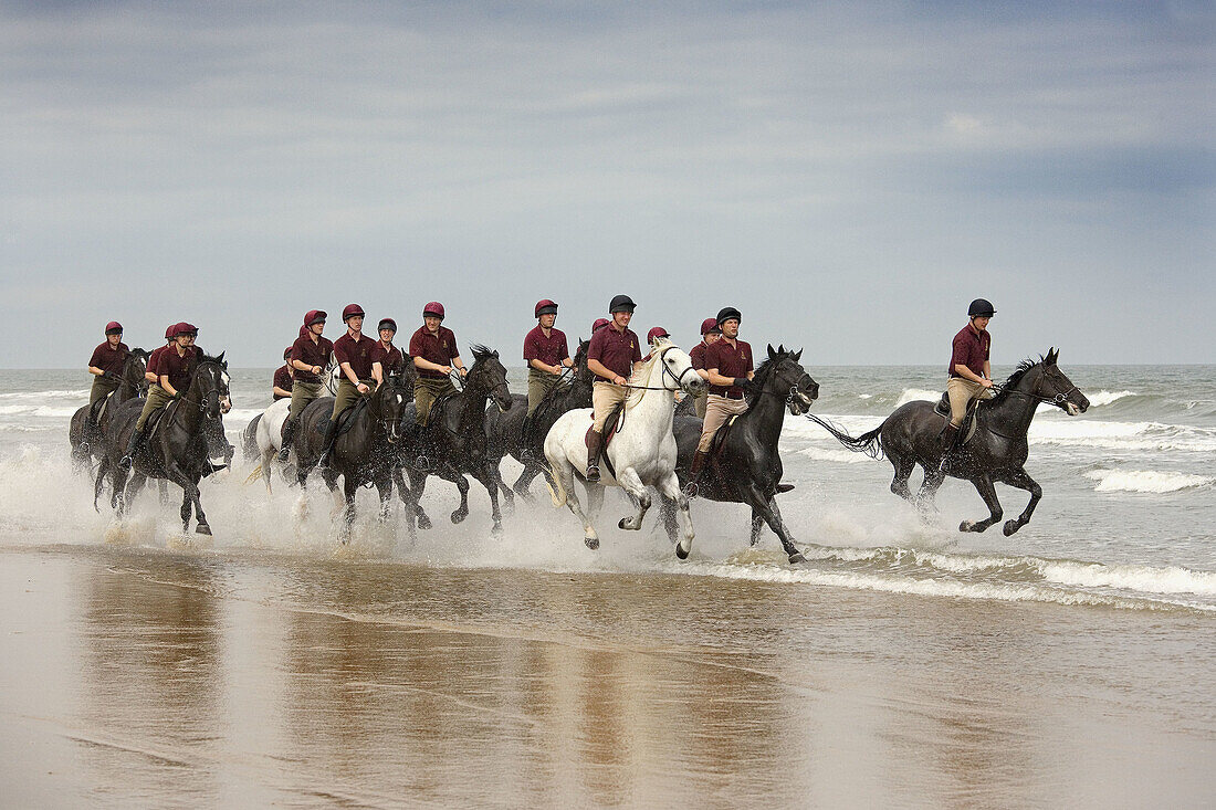 Household Cavalry at Holkham Beach Norfolk