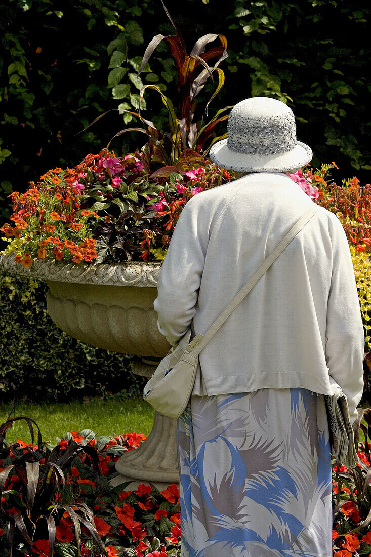 Lady admiring flowers Regents Park London Summer