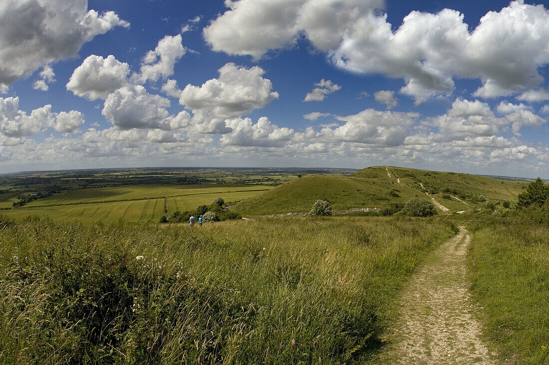 The Ridgeway Path Ivinghoe Beacon Bucks