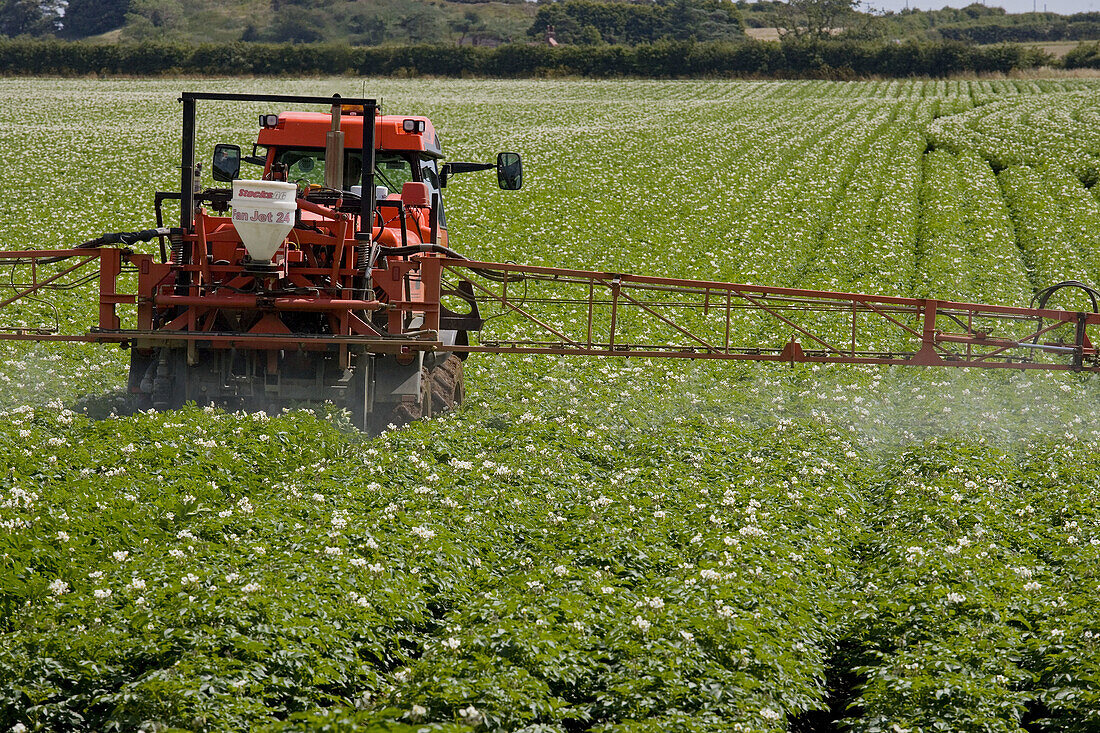 Potato Crop Spraying Norfolk UK
