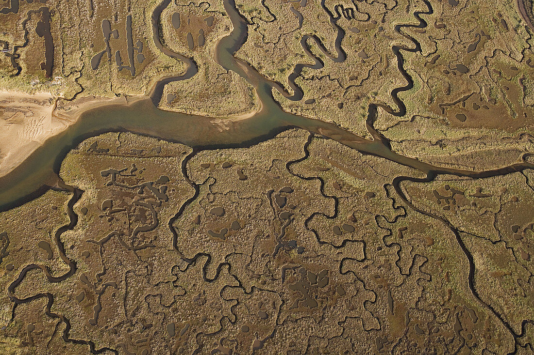 Creeks and Saltpans on Morston Saltmarsh Norfolk UK October