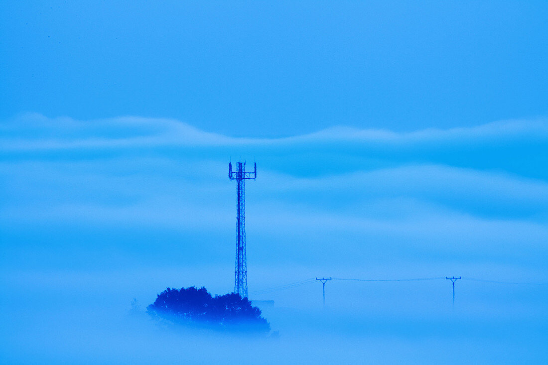 Landscape in fog. Southern Bohemia, Czech Republic