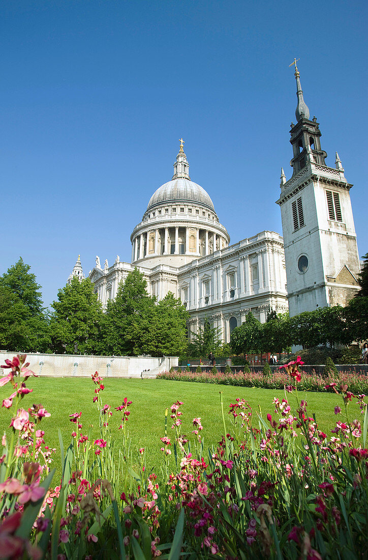 Festival garden  Saint pauls cathedral, City of london  England  UK