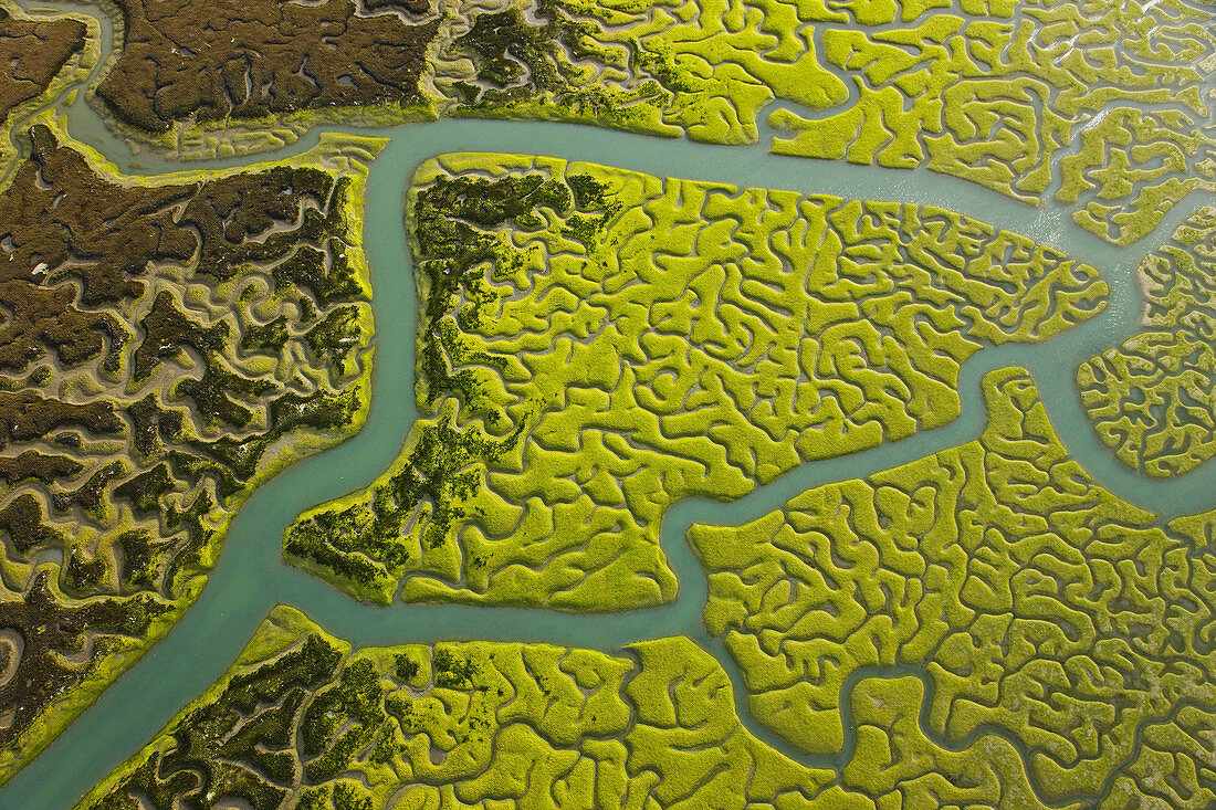 Aerial view on marshlands, Bahia de Cadiz Natural Park. Costa de la Luz, Cadiz province, Andalucia, Spain