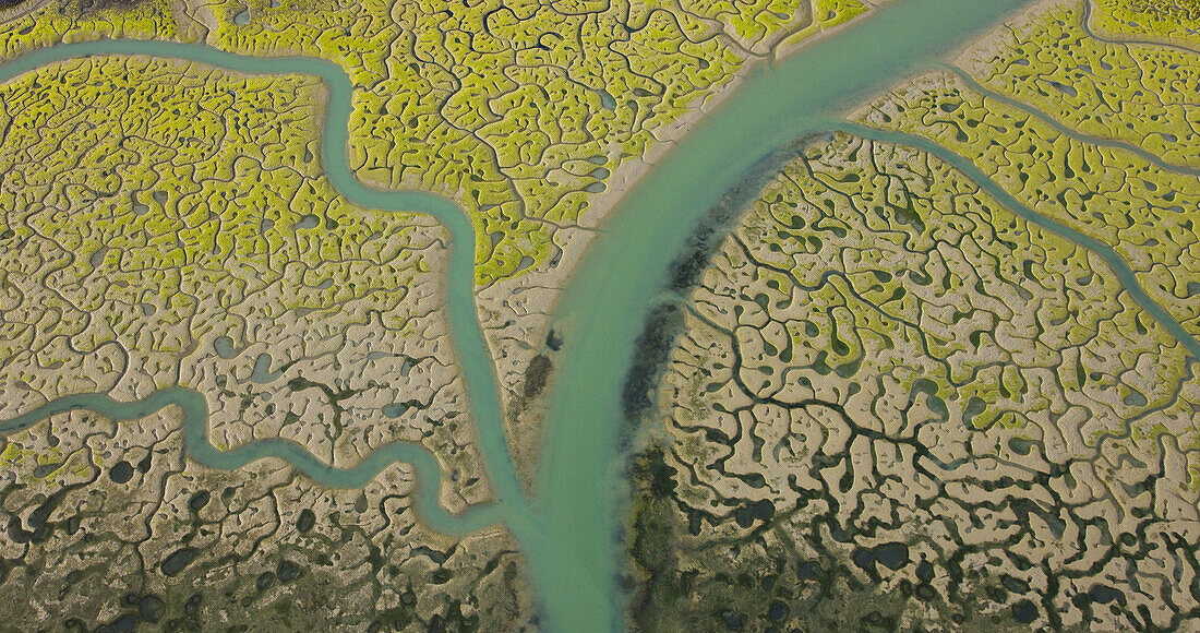 Aerial view on marshlands, Bahia de Cadiz Natural Park. Costa de la Luz, Cadiz province, Andalucia, Spain