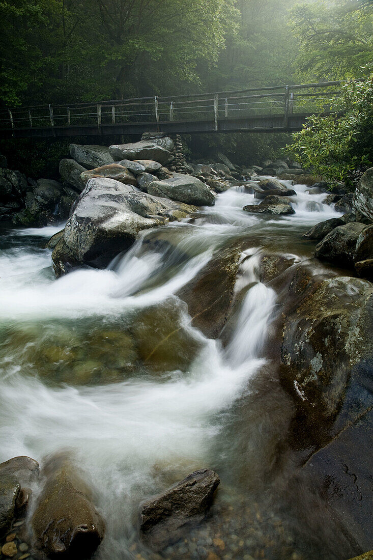 Footbridge, Mountain Stream, Great Smoky Mountains National Park, Tennessee, USA