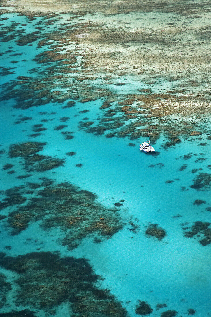 Tongue Reef and Yacht, Great Barrier Reef Marine Park, North Queensland, Australia - aerial