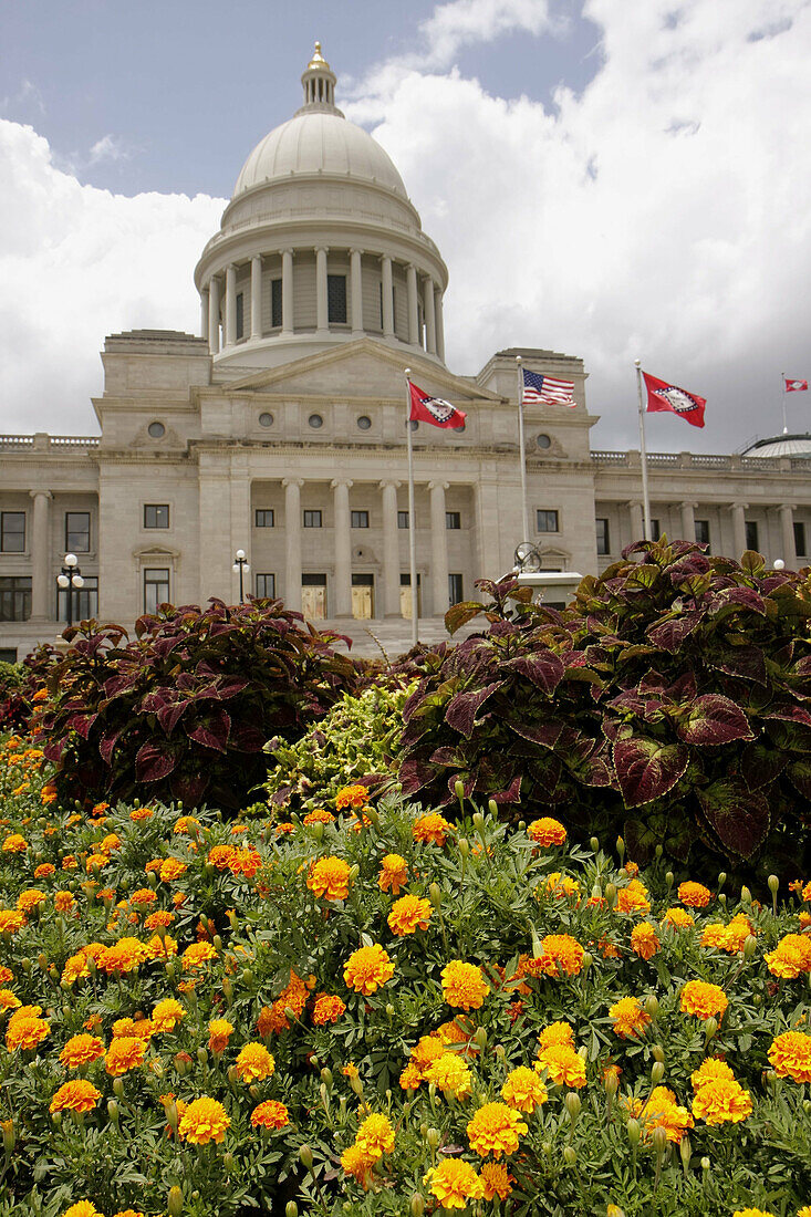 Arkansas, Little Rock, State Capitol Building, neo-classical style, native limestone, dome, ionic columns, state flag, steps, exterior, facade, garden, yellow flowers, politics
