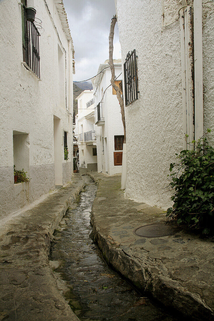 Pampaneira. Alpujarra, Sierra Nevada, Granada province, Andalucia, Spain