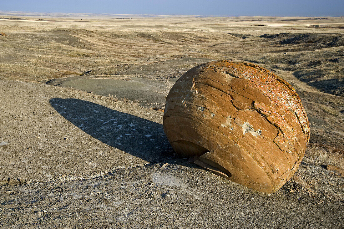 Eroded sandstone boulders exposed in semi-arid landscape at dawn