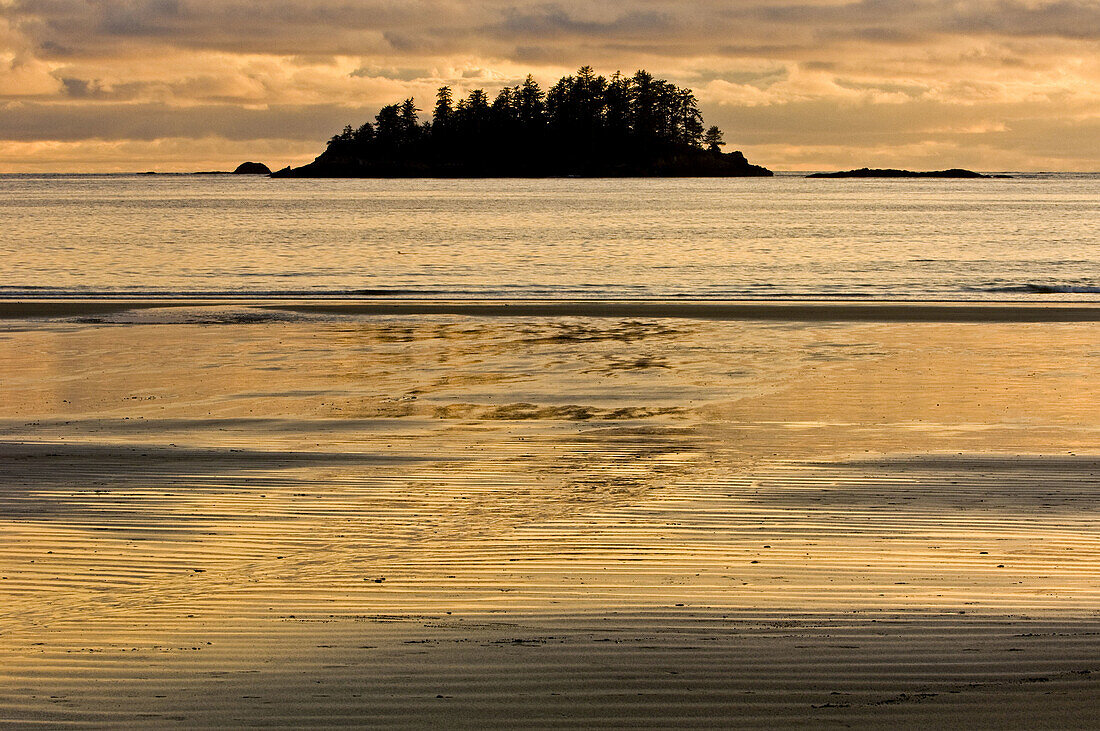 Pacific Rim scenic- MacKenzie Beach and outer islands at ebbing tide