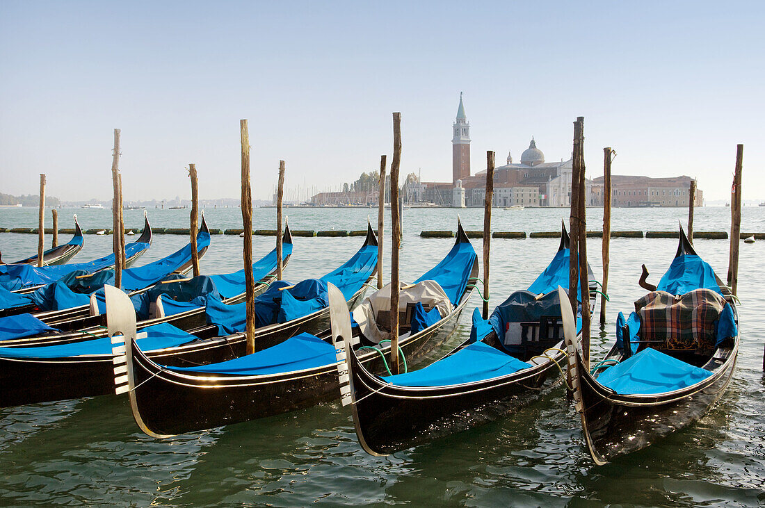 Rows of gondolas line the shore of the harbour in Venice, Italy