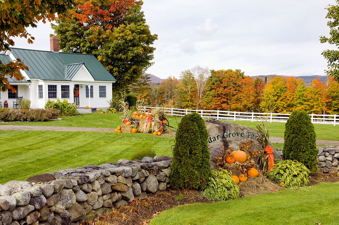 Fall decor with pumpkins at the Cedar Grove Farm near Peacham, Vermont, USA