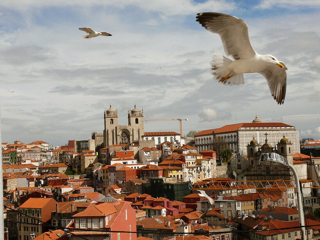 Porto, Portugal