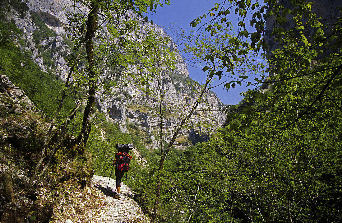 Vikos Gorge, Vikos-Aoos National Park. Epirus, Greece