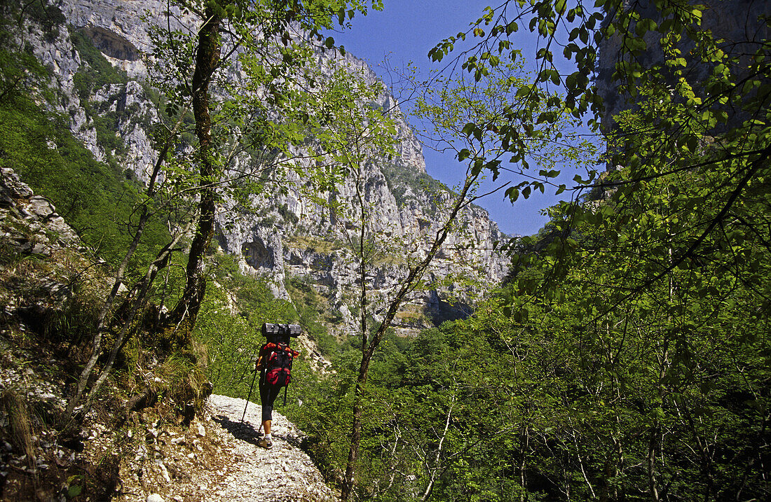 Vikos-Schlucht, Vikos-Aoos-Nationalpark. Epirus, Griechenland