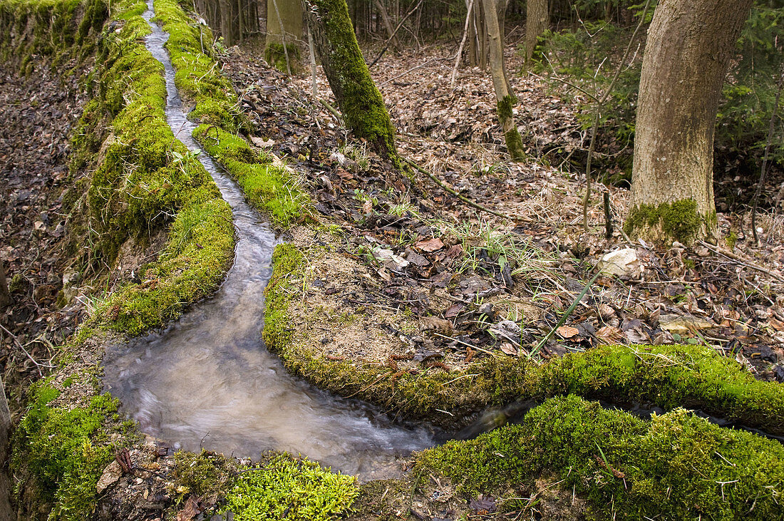 Calc-sinter source, water, nature phenomenon Stone channel, Franconia, Bavaria