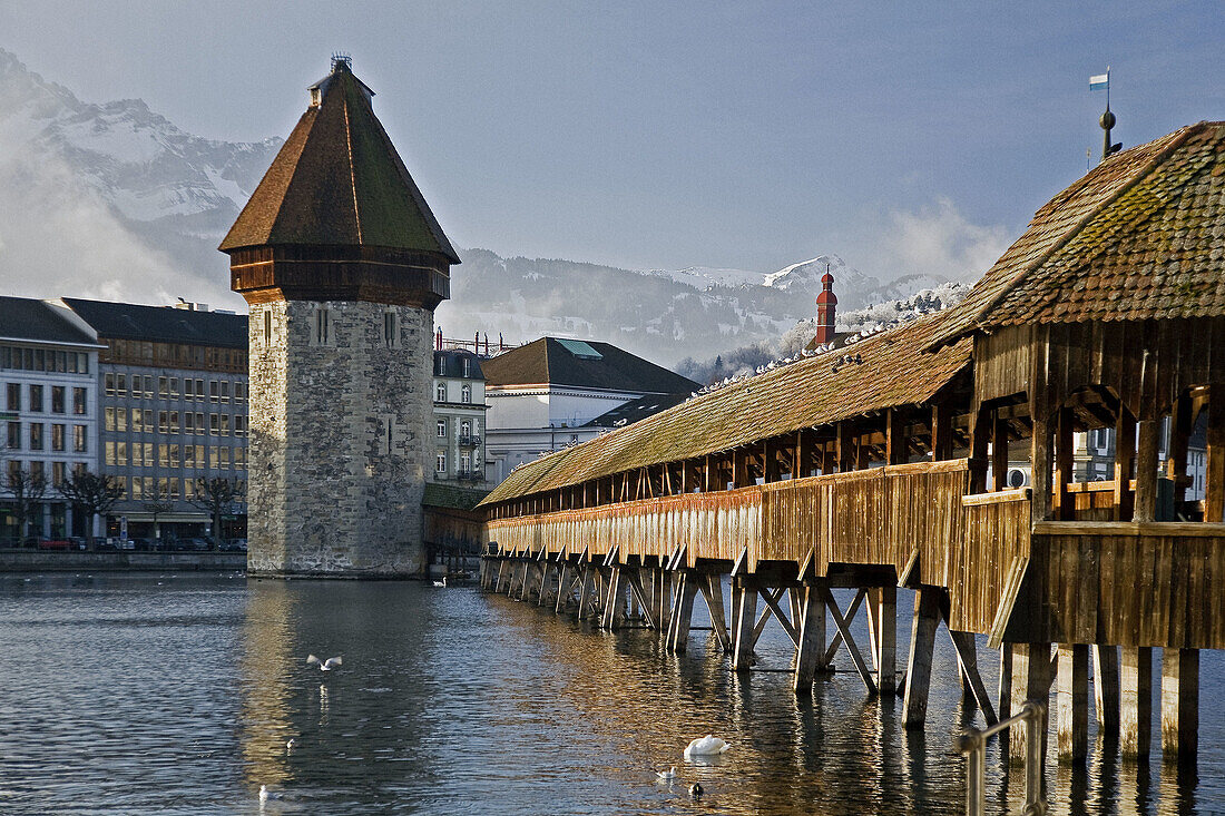 The Kappelbrücke in Luzern, Lucerne, with the Reuss River in the foreground, in Luzern, Lucerne, Switzerland