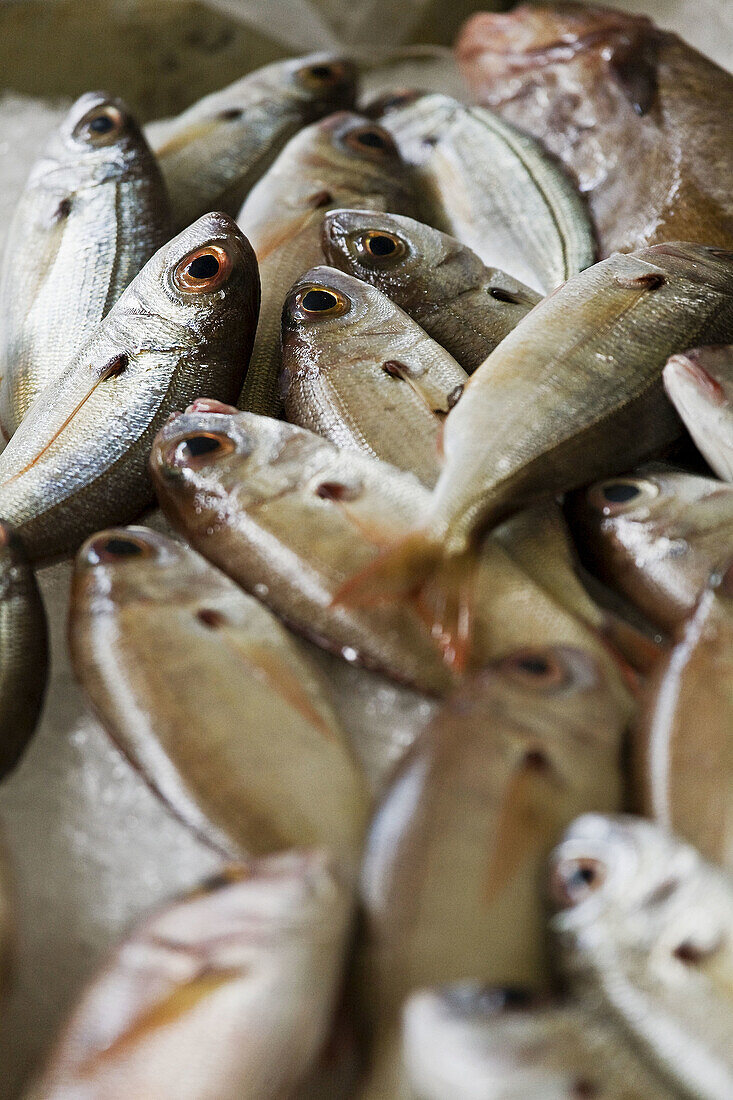 Fish display in the fish market in Santa Luzia, Funchal, Ilha da Madeira, Portugal