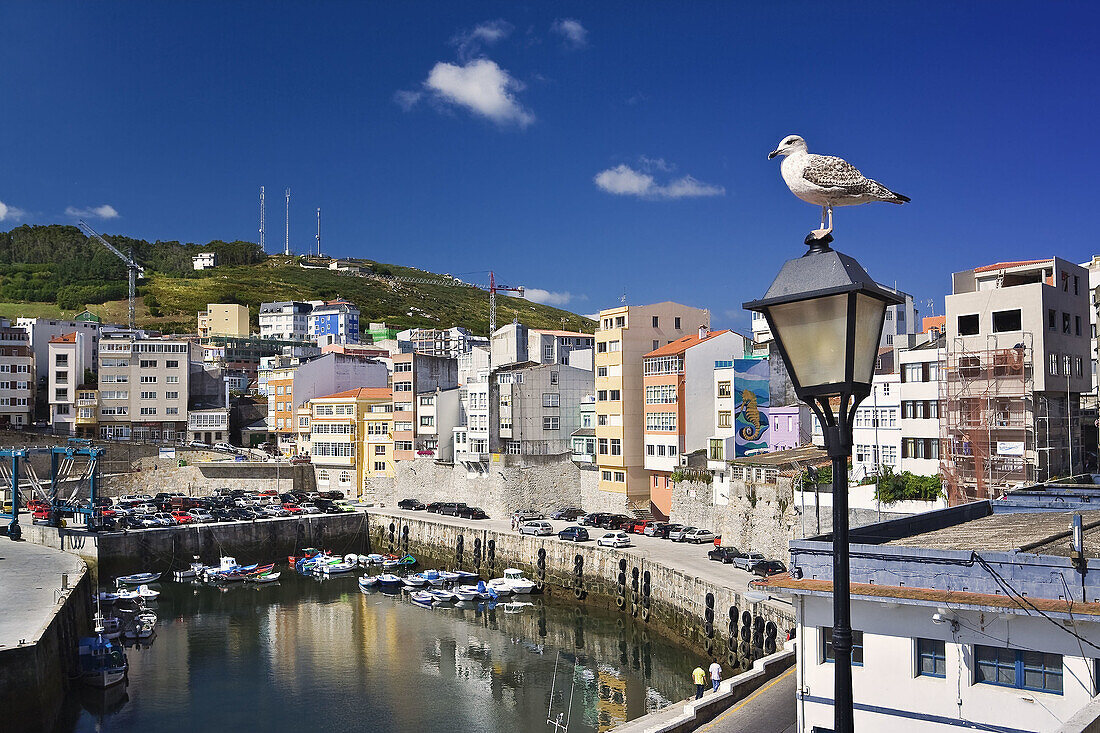 Malpica. Provincia de A Coruña. Galicia. España.