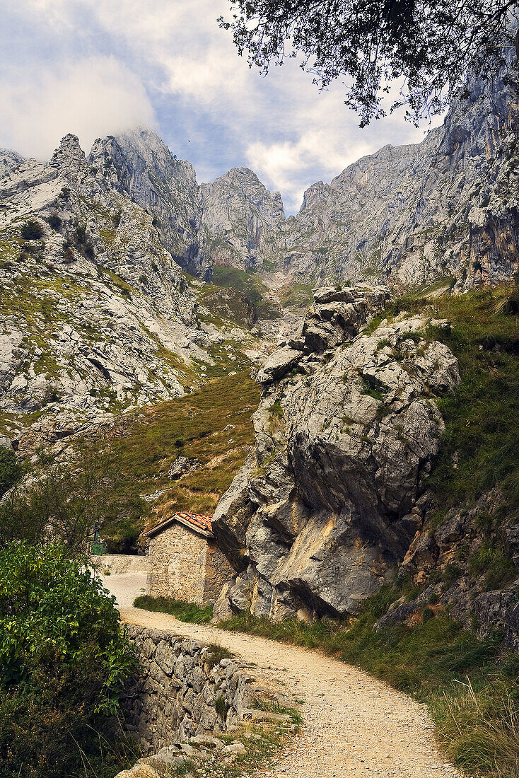 Desfiladero del Cares. Picos de Europa. Asturias. España.