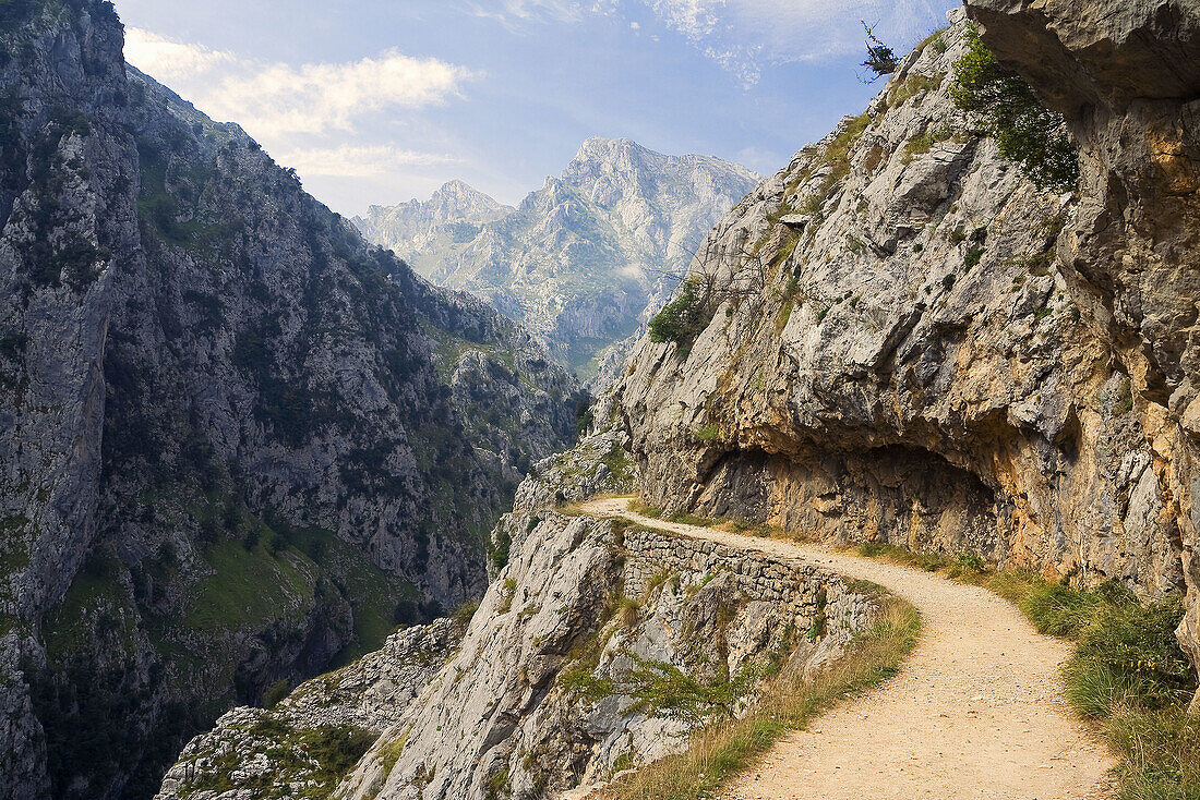 Desfiladero del Cares. Picos de Europa. Asturias. España.