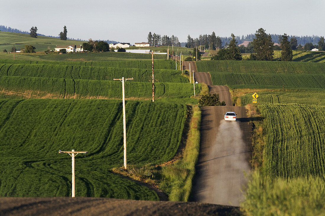 A car drives on a country road in the Palouse area of eastern Washington State, USA