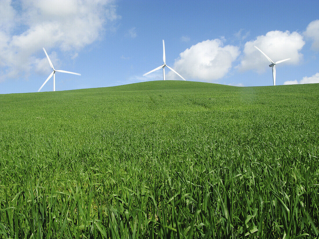 Alternative energies, Alternative energy, Blue, Color, Colour, Country, Countryside, Daytime, Ecology, Environment, exterior, Green, Hill, Hills, nature, outdoor, outdoors, outside, Renewable energy, scenic, scenics, Three, White, Wind power, Wind turbine