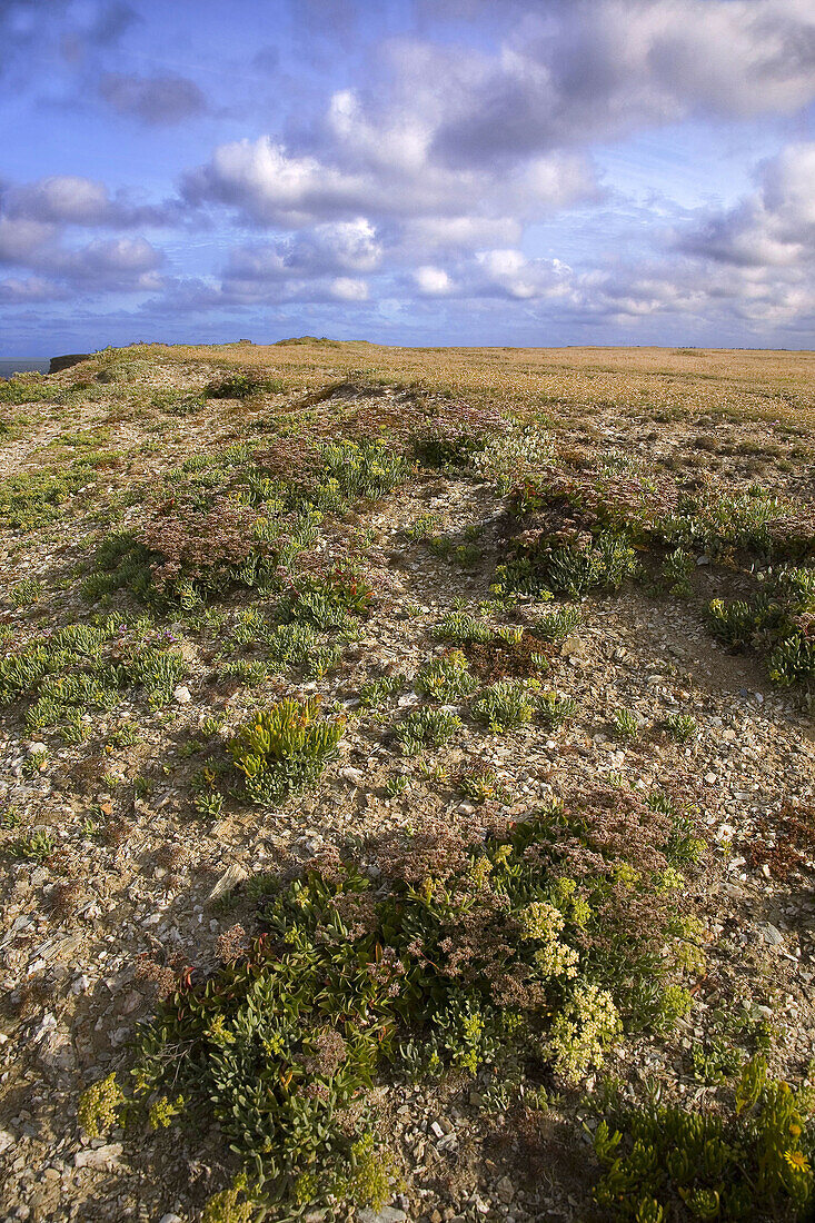 Brittany, Belle-Ile, wild coast: land under the clouds