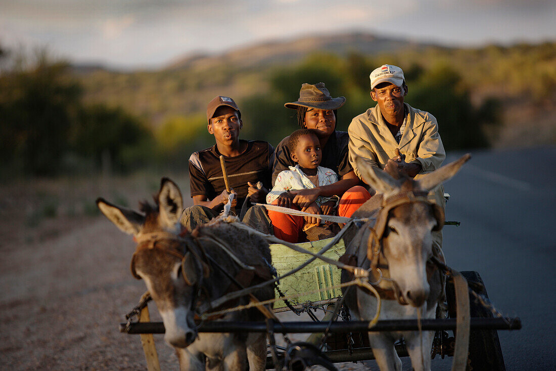 Familie auf einem Eselkarren, near Windhoek, Namibia, Afrika