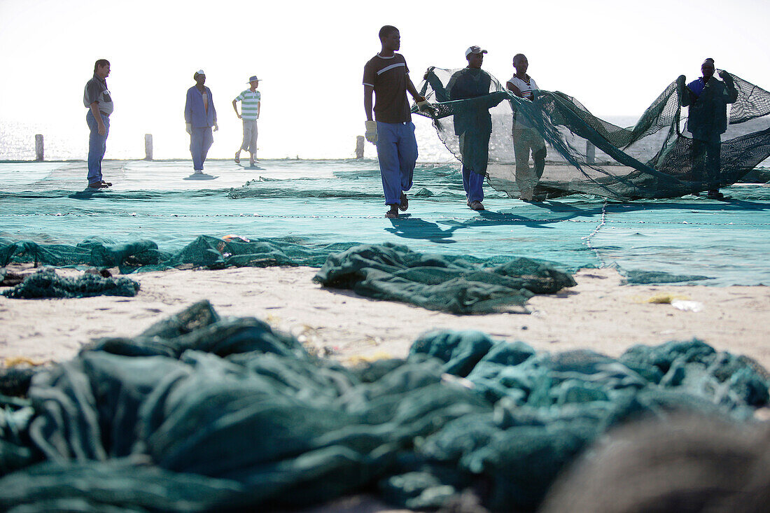 Fishermen with their nets near Swakopmund, Namibia, Africa