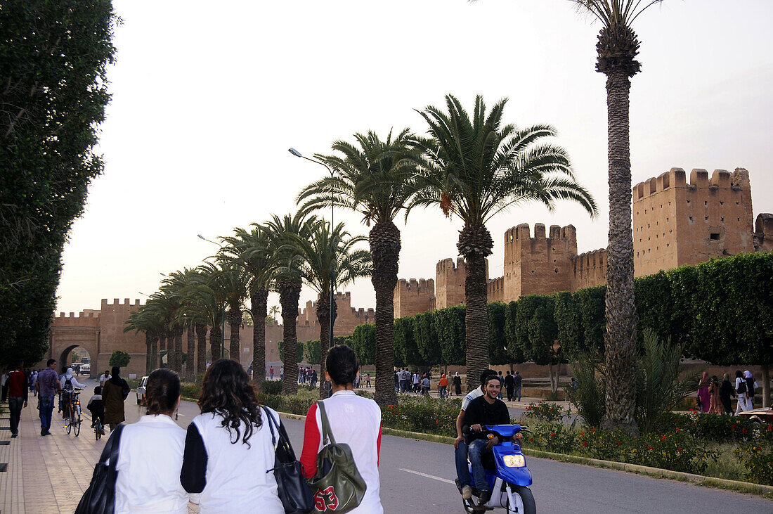 People and palm trees in front of the city wall at dusk, Taroudannt, South Morocco, Morocco, Africa