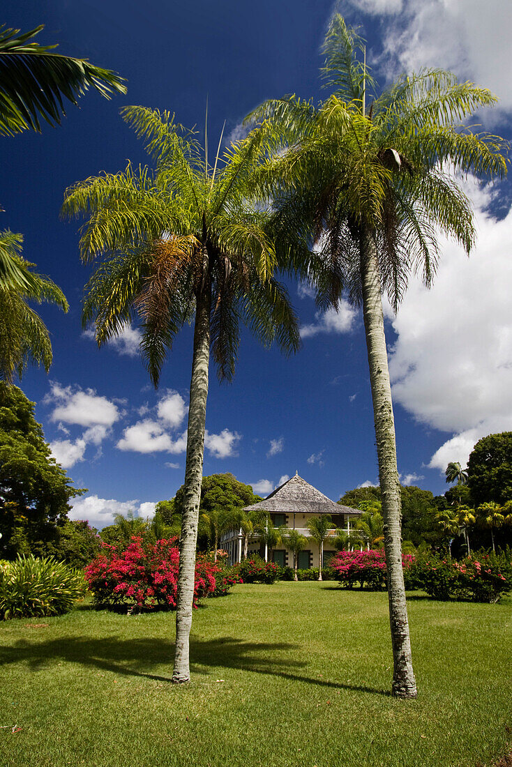 botanischen Garten von Pamplemousses, Mauritius, Afrika