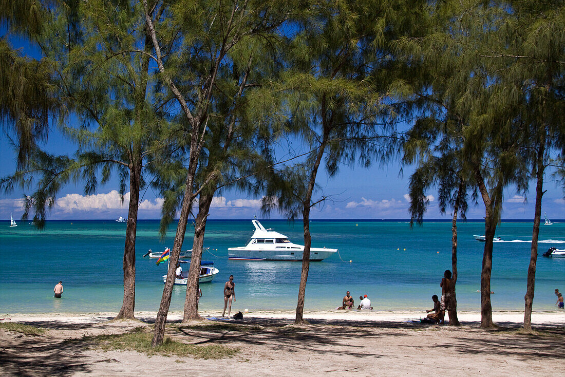 La Pointe aux Canonniers public beach , filoas trees, north east coast Mauritius, Africa