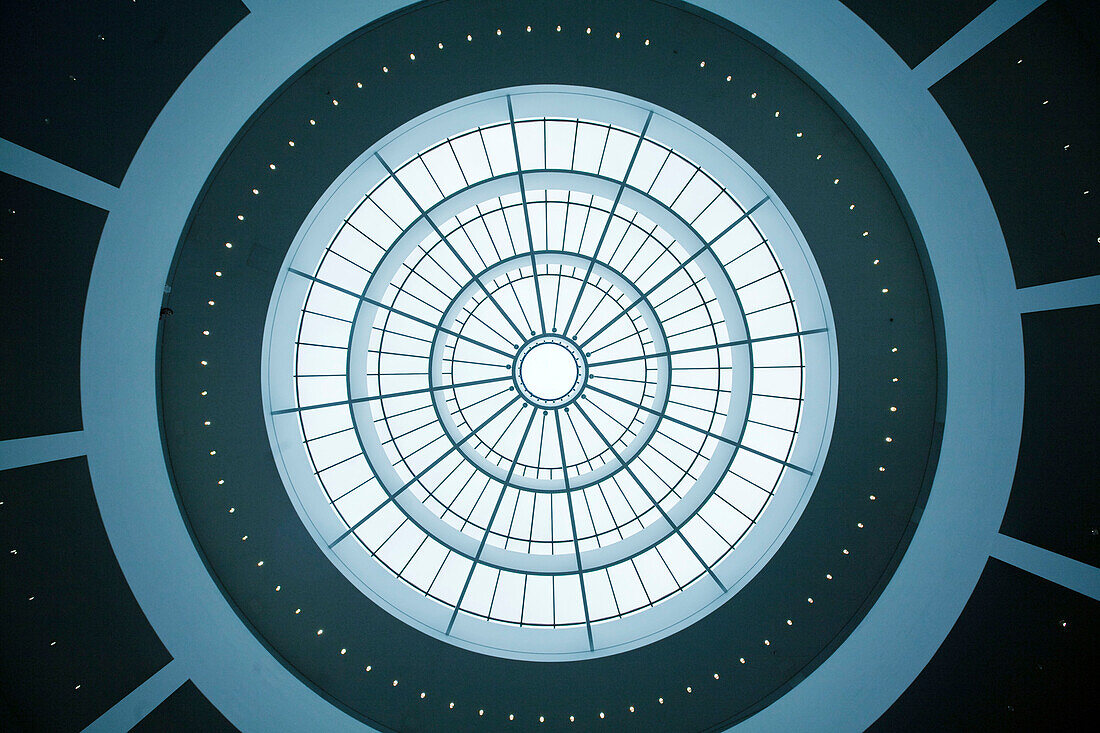 The Ceiling of New Pinakothek, Museum of Modern Art in Munich , Germany