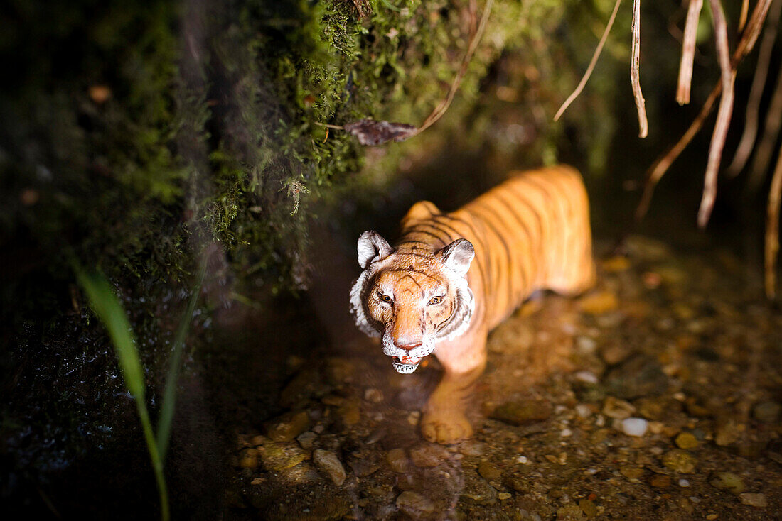 Spielzeug Tiger steht im Wasser