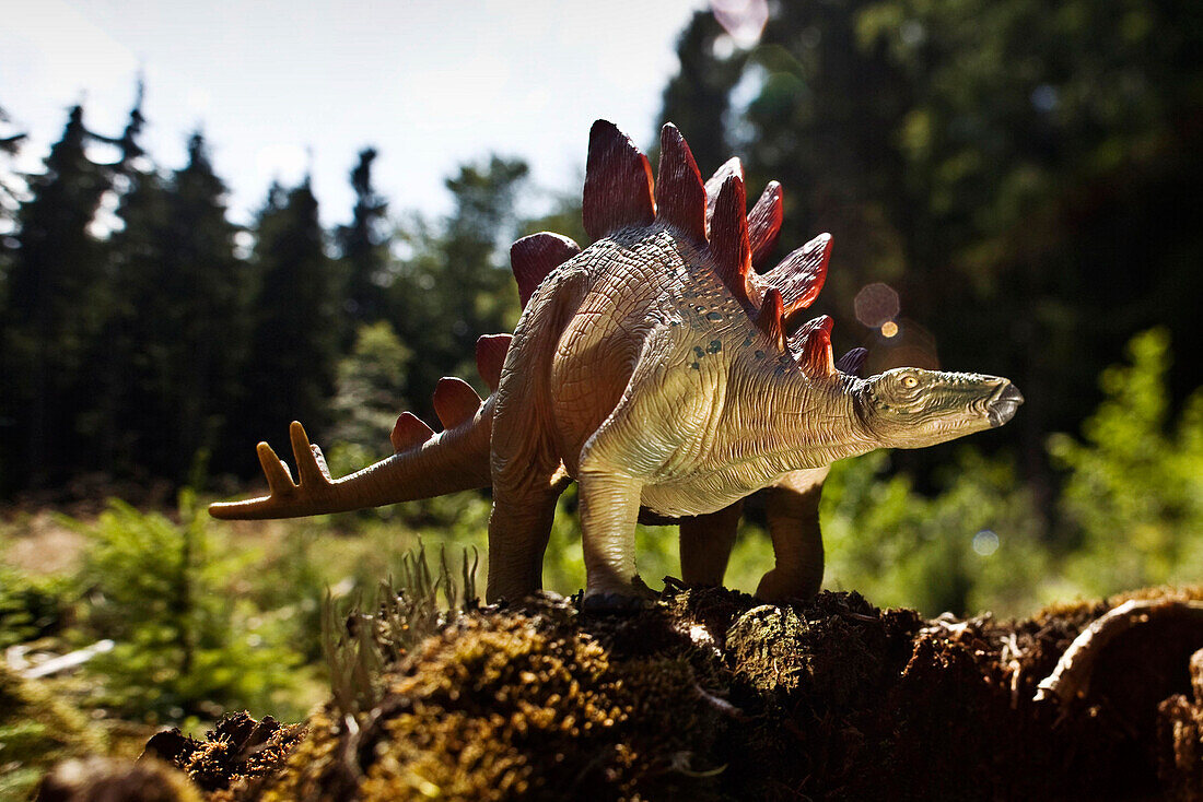 Spielzeug Stegosaurus auf einer Lichtung vor Nadelbäumen