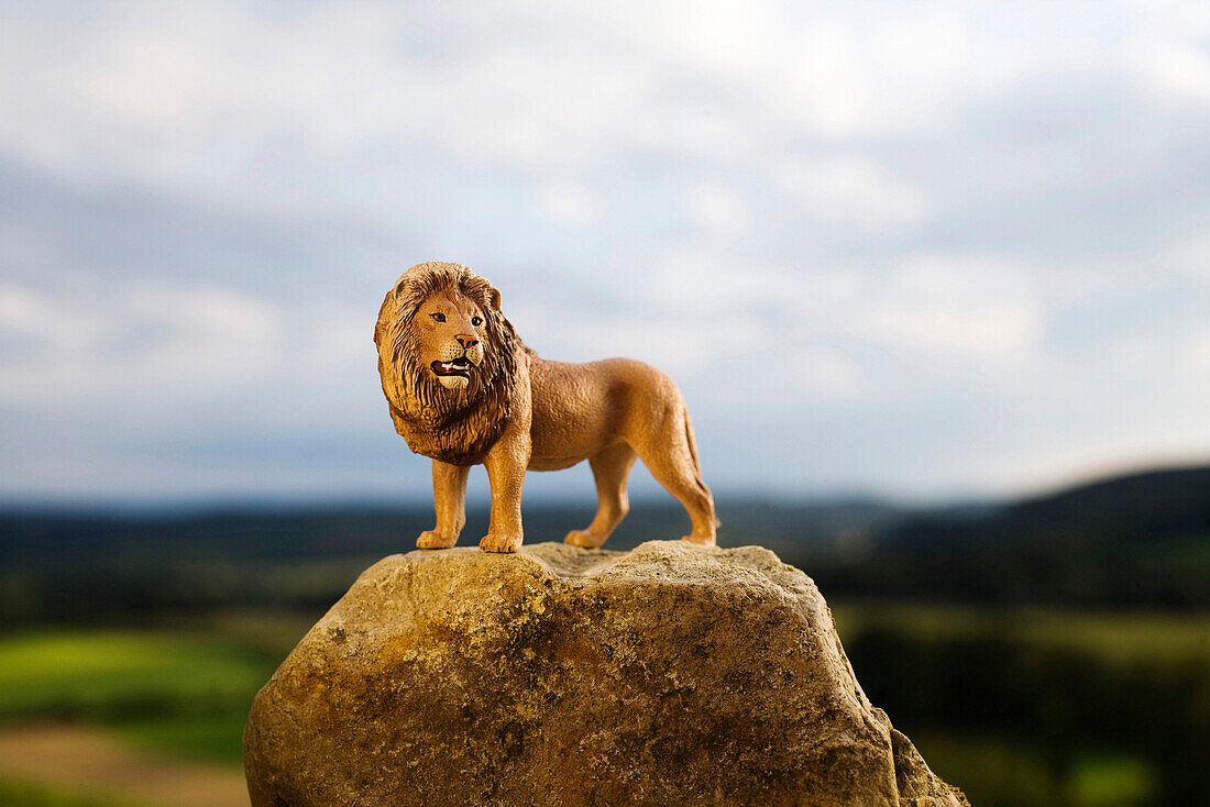 Toy lion standing on a stone in front of clouded sky