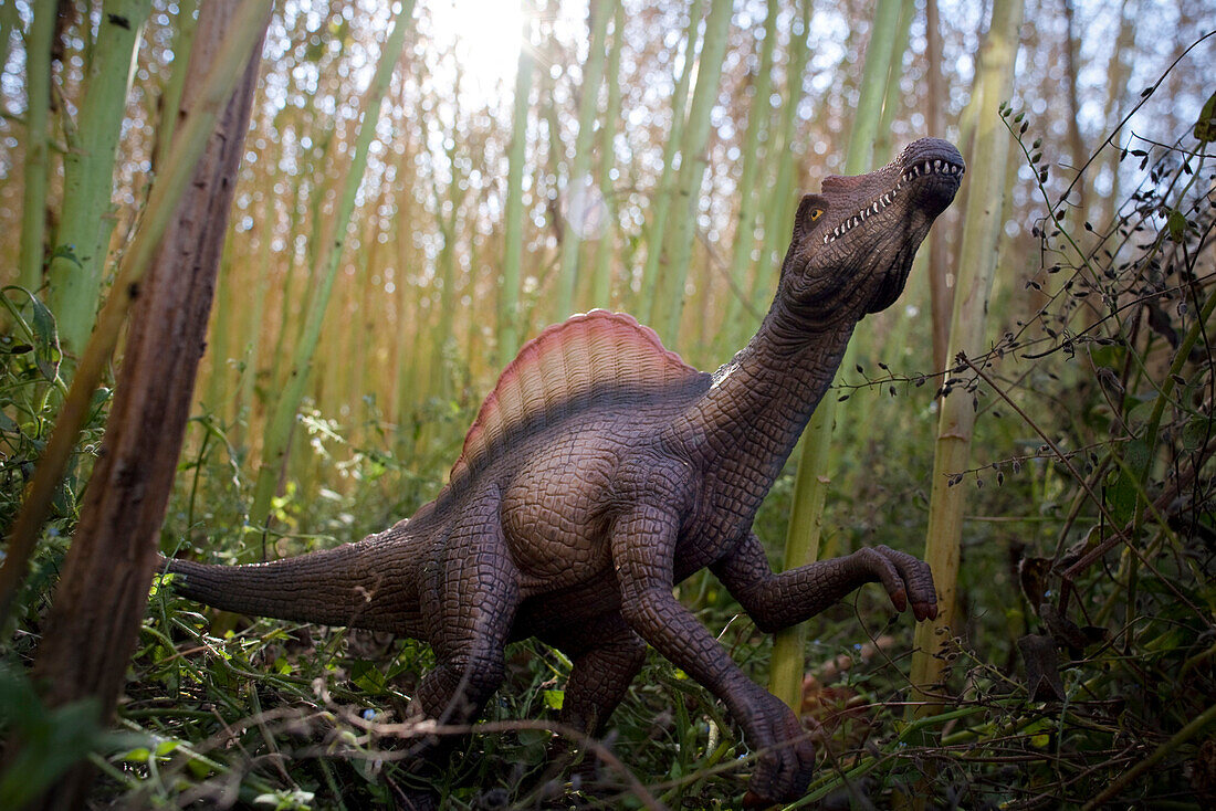 Toy spinosaurus amidst bamboo stalks
