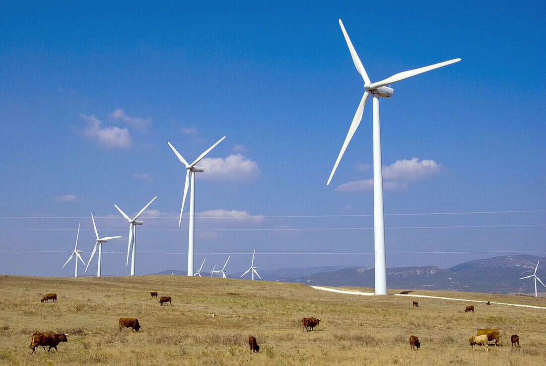 europe, spain, andalusia, tarifa, wind turbines tarifa 2007