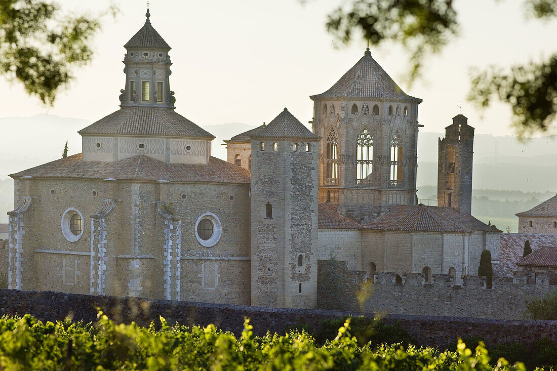 Cistercian monastery of Santa Maria de Poblet. Conca de Barbera, Tarragona province, Catalonia, Spain