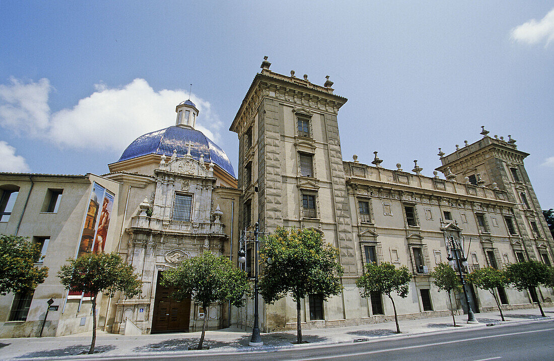 Museum of Fine Arts San Pío V, Valencia. Comunidad Valenciana, Spain