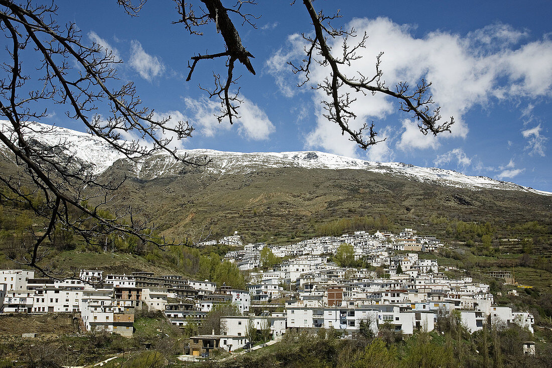 Trevelez and Sierra Nevada. Las Alpujarras, Granada province, Andalucia, Spain