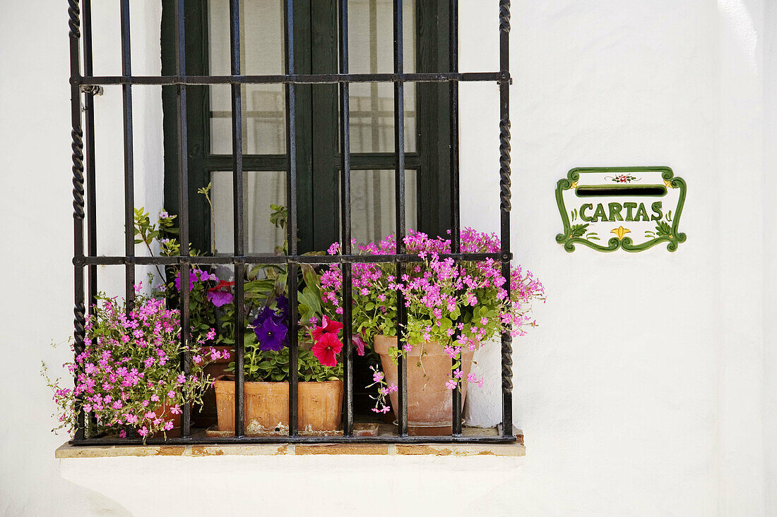 House detail, Zahara de la Sierra. Pueblos Blancos (white towns), Cadiz province, Andalucia, Spain