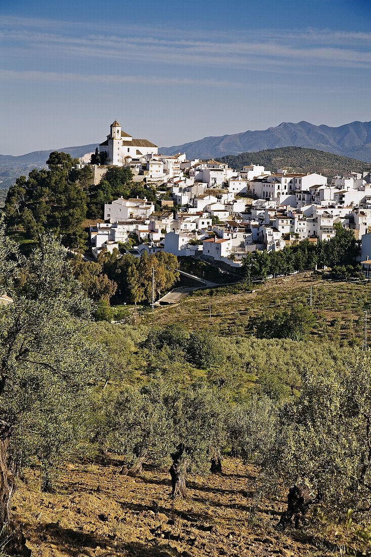 Alozaina. Serrania de Ronda, Malaga province, Andalucia, Spain